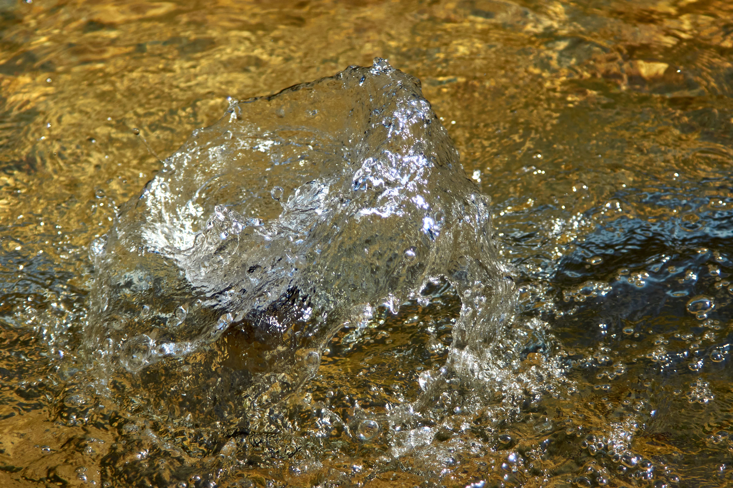 Wolfgang Hasselmann_1774394482037_unsplash_id_P7APreA-j1w.webp